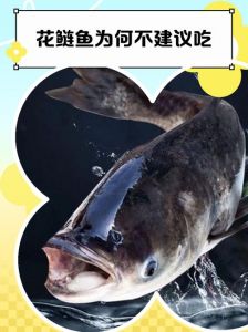 花鲢 白鲢 大头 区别_花鲢白鲢怎么分？看头大小颜色和口感