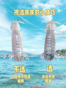 皮皮虾螳螂虾区别_外观习性大不同