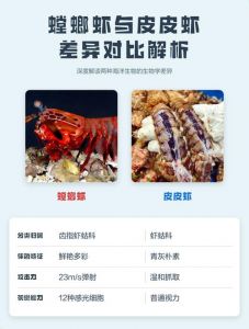 皮皮虾和螳螂虾区别_同科不同样