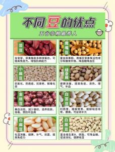 麻花豆精品与三产的区别详解：食材分类与产业发展分析