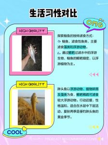 薄鲢与胖头鱼的区别_头身颜色口味大不同