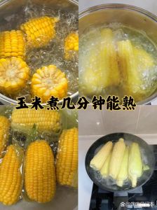 玉米煮20分钟能熟吗_煮玉米多久？甜玉米冷冻高压锅时间速览