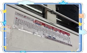 夜间公交车的故事与金银花露的独特做法探索