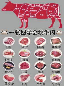 牛腱子肉部位图_炖卤炒皆宜，风味独特