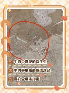 七成熟的牛肉会不会有寄生虫_牛肉寄生虫风险与处理方法