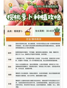 红罗卜苗怎样种_整地施肥，播种管理，采收时机