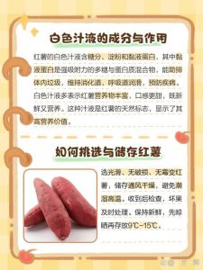 红薯切开冒出白色汁液是什么_红薯切开会流白汁？别担心，新鲜营养，胃肠不适者慎食