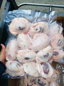 吃羊腰子不熟图片_羊腰子补气血抗疲劳，做法多样但需注意禁忌