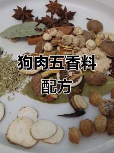 炖狗肉都放什么调料_选后腿肋排，忌八角丁香，姜蒜陈皮慢炖烂