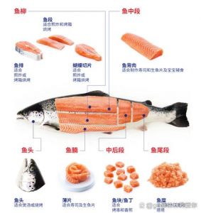三文鱼12个部位图_三文鱼不同部位做法全解析，解锁多样美味！