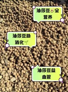 麻花豆精产与三产麻花豆的区别分析：不同产地与制作工艺对食材品质的影响