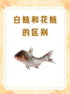 鳙和鲢有什么区别_鲢鱼鳙鱼怎么分？看颜色头大小！