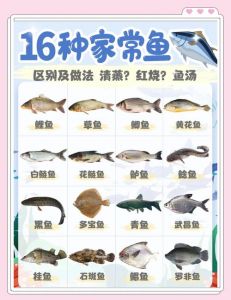 雄鱼和草鱼哪个刺多_草鱼刺多？雄鱼刺少肉嫩！