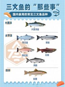 三文鱼部位怎么区分_头尾皮骨各显神通