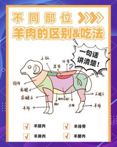 羊把子肉是哪个部位的肉_秋冬吃羊肉，羊头部位美味多！