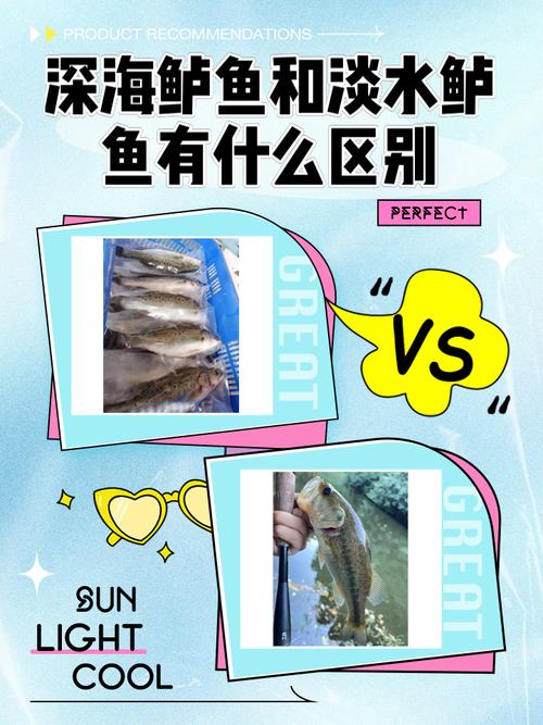 海鲈鱼属于深海鱼吗_近海淡水鱼,非深海居 海鲈鱼属于深海鱼吗_近海淡水鱼,非深海居