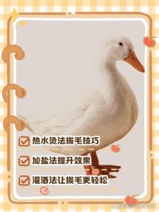 鸭毛怎么处理又快又好_盐水浸泡温水烫，快速拔鸭毛
