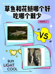 鳙鱼跟草鱼比哪个刺多_怕刺？选鳙鱼中段或鲳鱼！