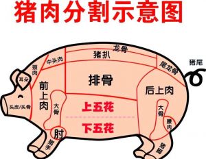 下五花肉是什么部位_下五花肉肥瘦相间，烹饪后入口即化，适合制作东坡肉梅菜扣肉等美食