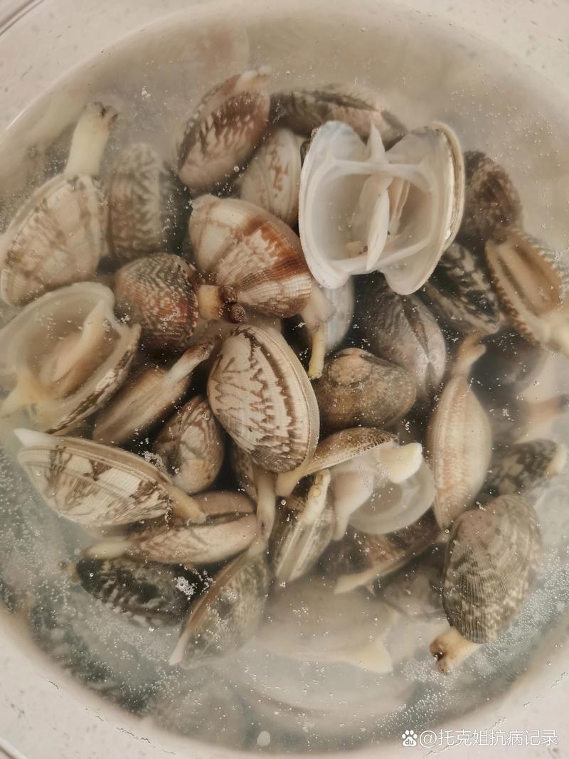 花甲一开口就是熟了吗_花甲熟了吗？闻味看壳，别被开口骗了！