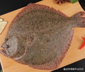 比目鱼是不是深海鱼_比目鱼多数近海 多种淡水生