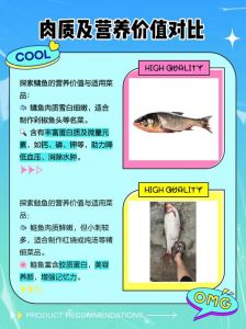胖头鱼和花鲢和白鲢的区别图解_胖头鱼是花鲢？别搞错了！