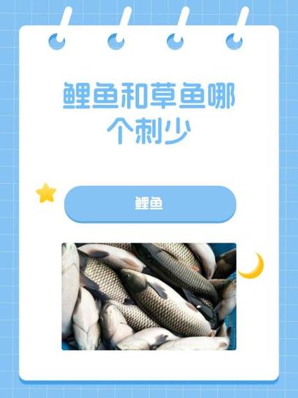 鳙鱼和草鱼哪个刺多_家鱼多小刺？科学家正研究无刺鱼！