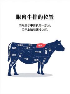 牛瓦沟是哪个部位_牛瓦沟烤炖两相宜，牛腩性价比高
