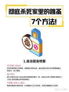 怎样消灭跳蚤_热水清洗驱虫全攻略
