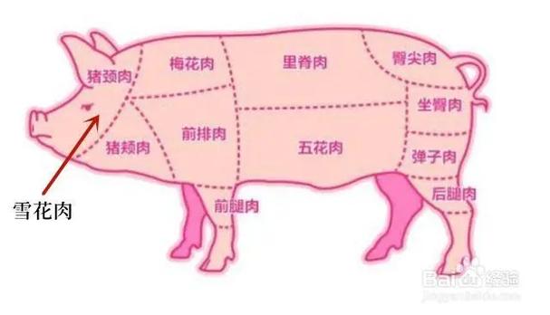 梅头肉部位大全图解_嫩滑肉烂选对味！