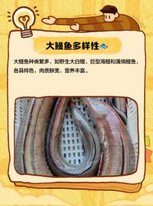 海鳗鱼品种大全图解_海洋里的神秘生物