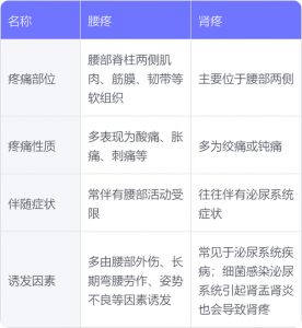 腰痛和肾痛如何鉴别_肾痛腰痛哪里疼？区分方法看这里