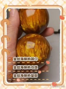 海柳属不属于违禁品_海柳珍稀受保护，真假难辨选正规