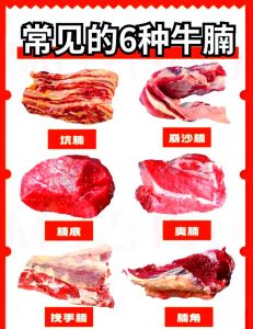 牛腩和牛肋条的区别图片_口感烹饪大不同
