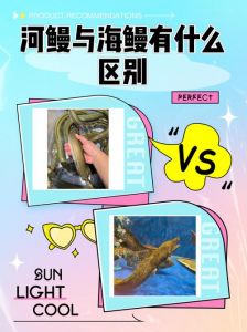 海鳗和海鳝鱼图片对比_深海中的双生异类