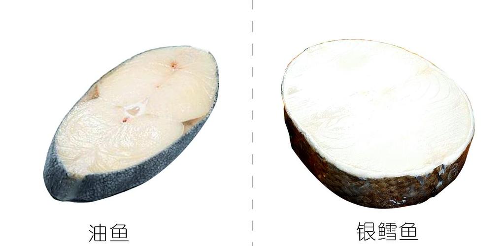 真鳕鱼和油鱼的区别_真假鳕鱼怎么分?看体型颜色查标签! 真鳕鱼和油鱼的区别_真假鳕鱼怎么分?看体型颜色查标签!