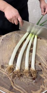 葱怎么切图解_大葱不同切法，烹饪更省事美味