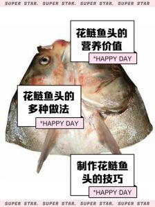 鲢鳙和大头鱼的区别_鲢鱼和鳙鱼外观食性用途有何区别？