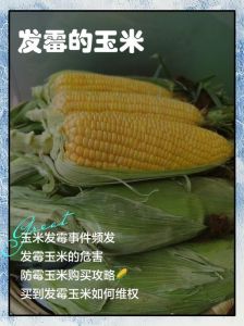 熟玉米泡水里放一夜会坏吗_玉米水别泡太久，隔夜有风险！