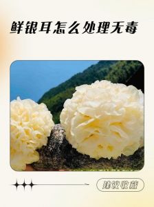 新鲜银耳炒吃用焯水吗_银耳炒吃前焯水，洁白营养口感好！