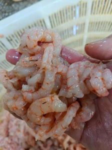 虾仁是虾的哪个部位_虾仁去壳方便炒菜，整虾煮烤口感好