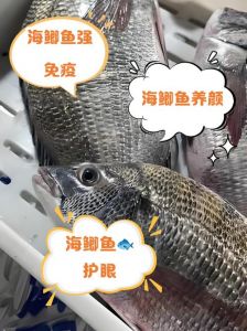 海鲫鱼与河鲫鱼区别_海水鱼vs淡水鱼