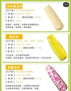 熟玉米冷藏最多几天_玉米冷藏3-5天，真空可延长，冷冻营养有损失