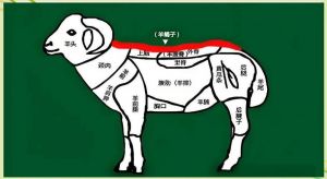 羊蝎子具体部位图解_羊蝎子清汤火锅，鲜美补钙