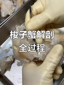 梭子蟹处理方法图解_看蟹脐辨公母梭子蟹，公母口感不同！
