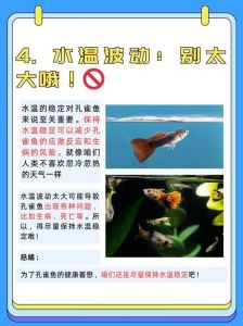 冬天卖鱼为什么要倒热水_黑龙江鱼贩烧热水救鱼，顾客吃上鲜鱼暖心窝