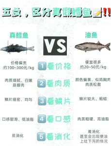 真鳕鱼与黑鳕鱼的区别_外观口感营养怎么选？
