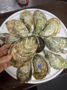 生蚝煮熟了叫什么叫熟蚝吗_煮熟的生蚝叫什么？