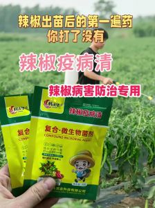 怎样管理辣椒才能高产_肥水修剪采，选对土管好！