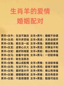 为什么羊和猪会配对成功_羊猪天作之合，性格互补婚姻美满